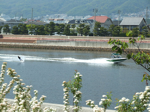 芦屋市総合公園・明日から5月