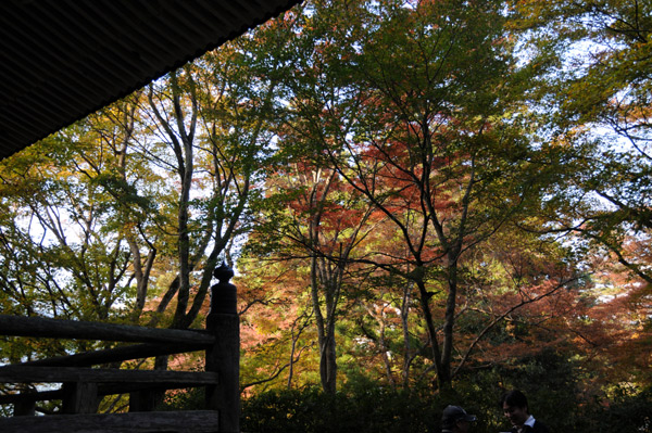 高源寺