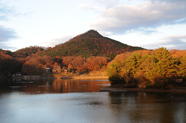 有馬富士公園