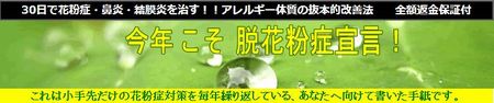 30日で花粉症・鼻炎・結膜炎を治す!!アレルギー体質の抜本的改善法 堀口剛志 効果 口コミ レビュー