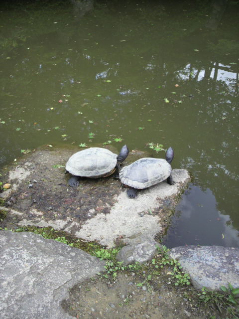 2010051212400000.jpg