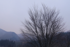 P1030127.JPG
