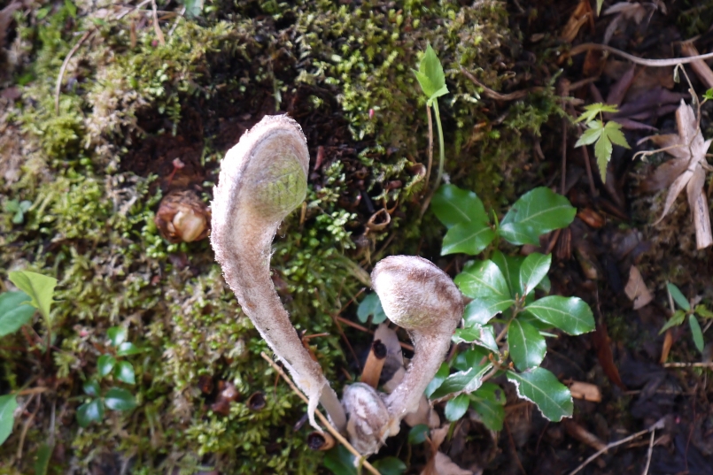 P1080544.JPG