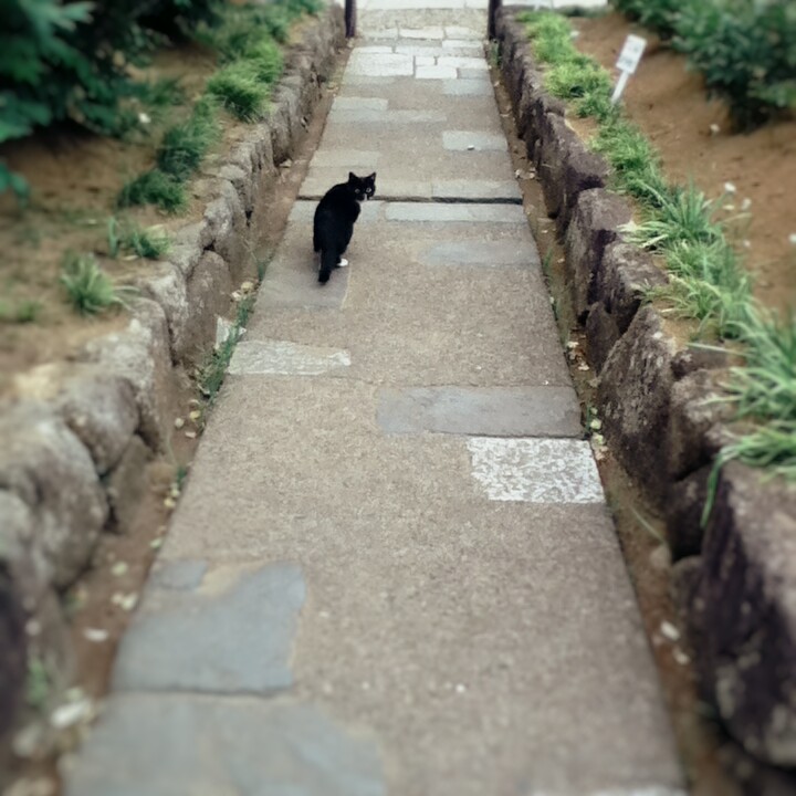 Fotor_14703176261298.jpg