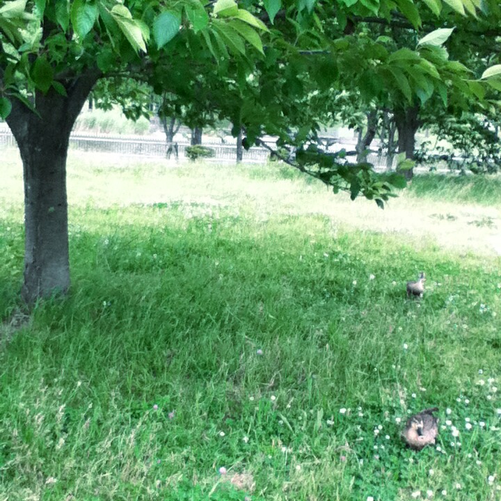Fotor_147029278834262.jpg