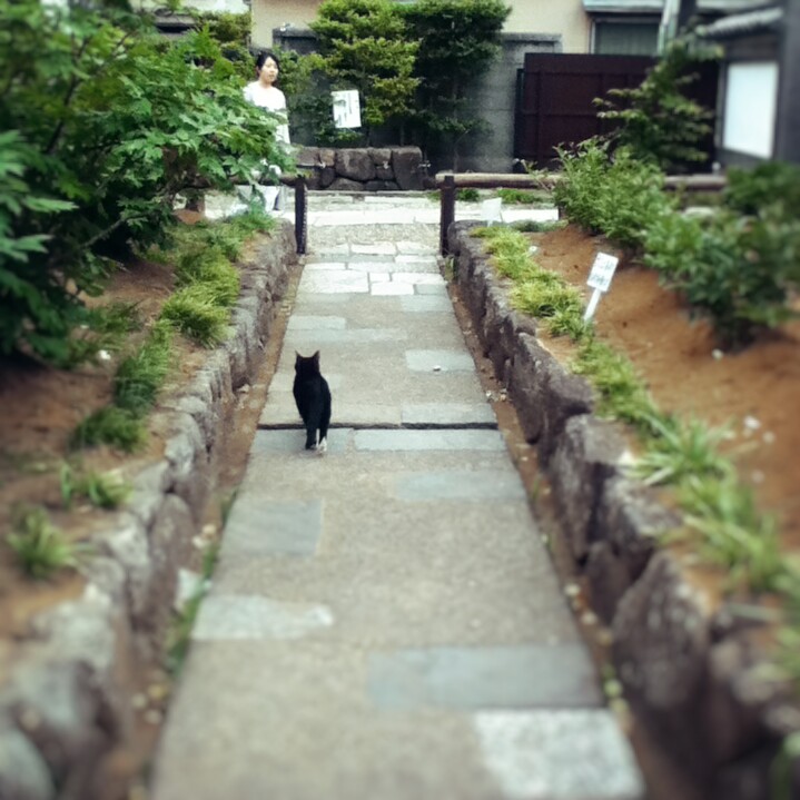 Fotor_147031766202059.jpg