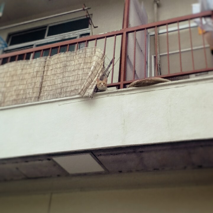 Fotor_147031782643635.jpg