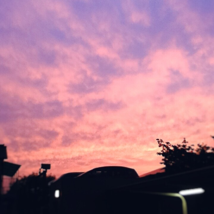 Fotor_147031806028880.jpg