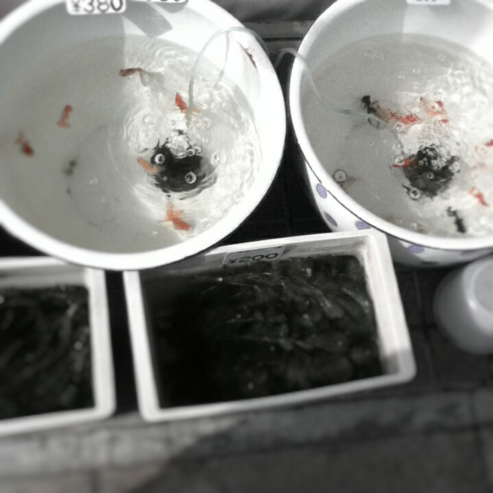 Fotor_14704033449230.jpg