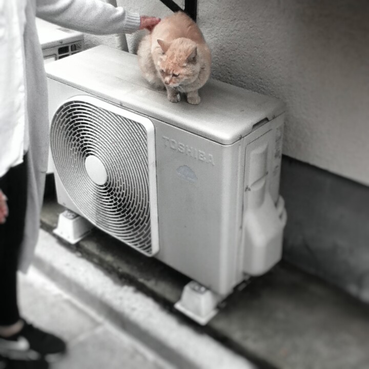 Fotor_147040359751439.jpg