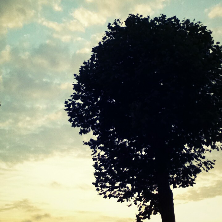 Fotor_147040583290720.jpg