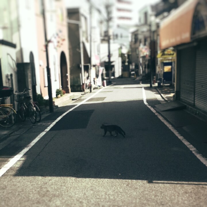 Fotor_147056502083617.jpg