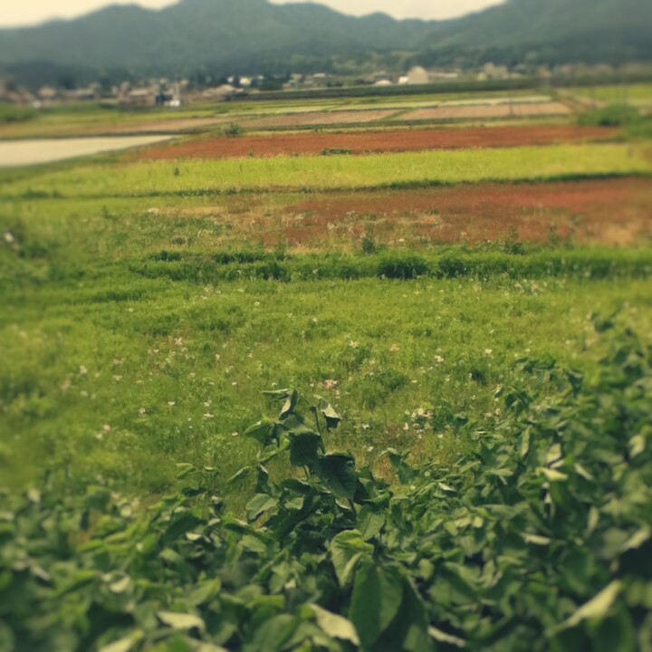 Fotor_147075743892988.jpg