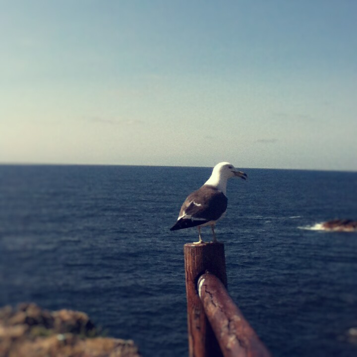 Fotor_147076024301499.jpg
