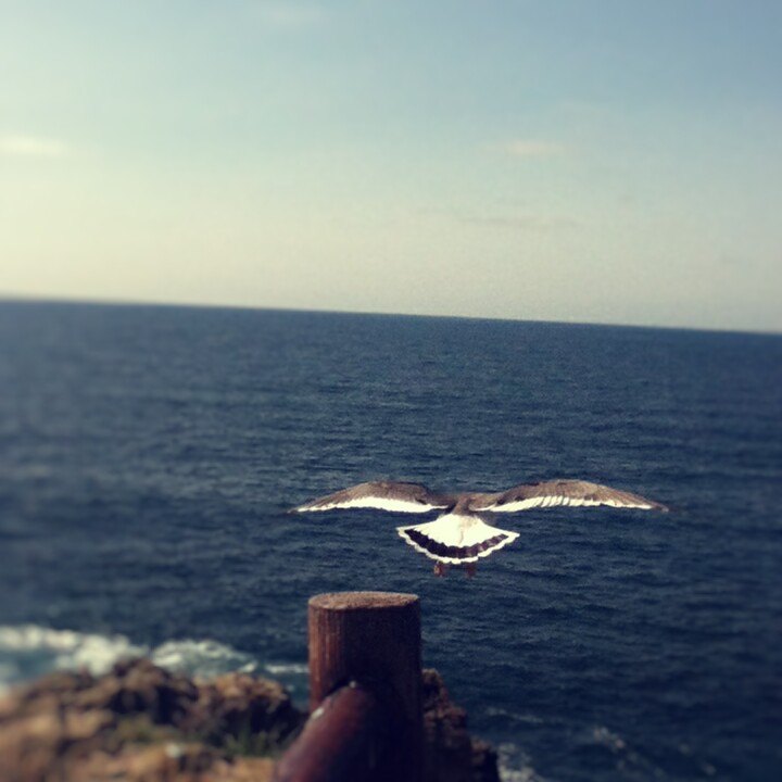 Fotor_14707919903021.jpg
