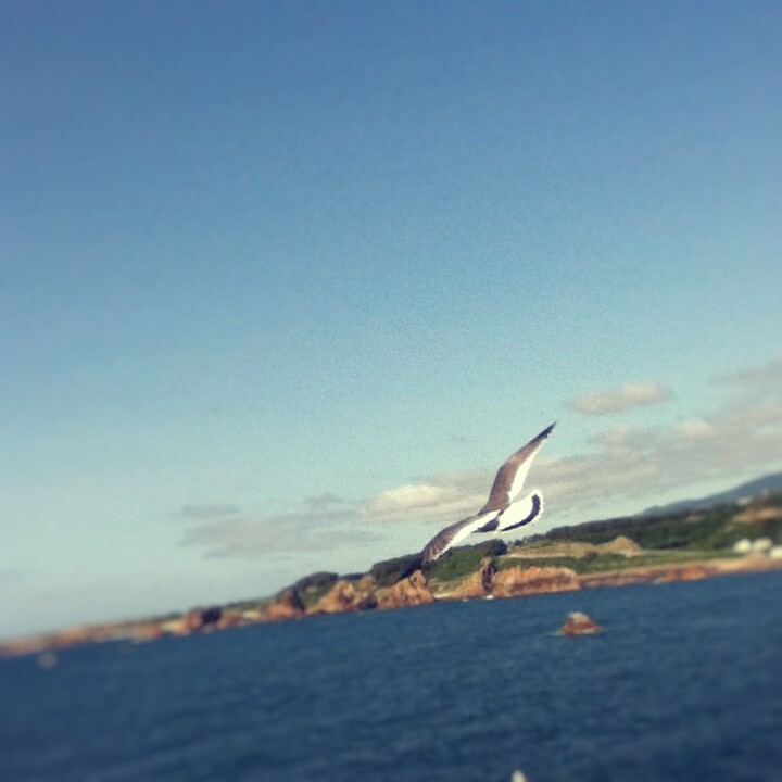 Fotor_14707920692260.jpg