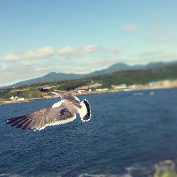 Fotor_147079218980326.jpg