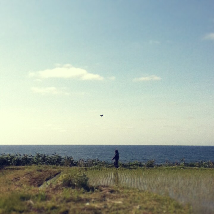 Fotor_147079225239511.jpg