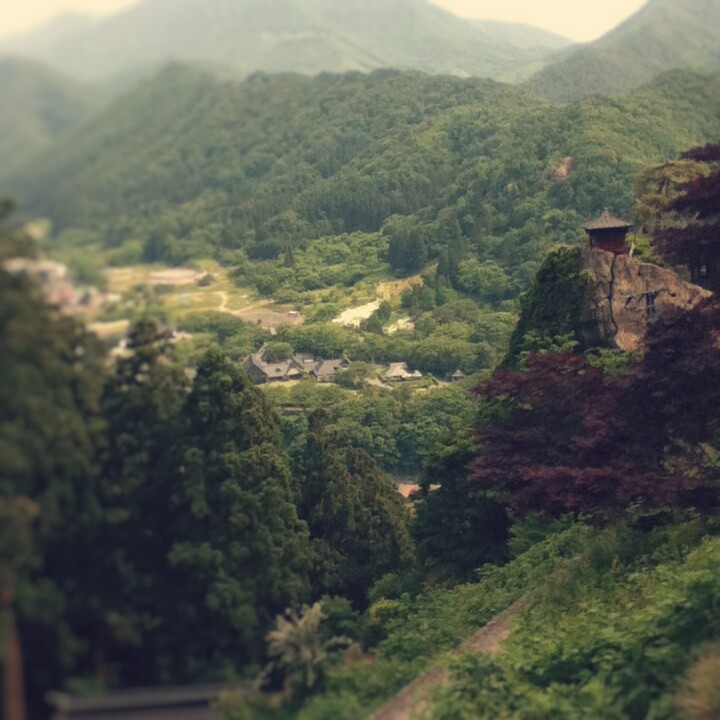 Fotor_14710003807249.jpg