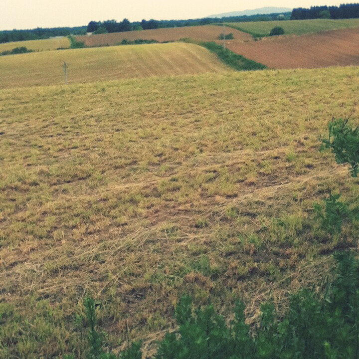 Fotor_147099182452746.jpg