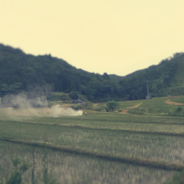 Fotor_147099228302265.jpg