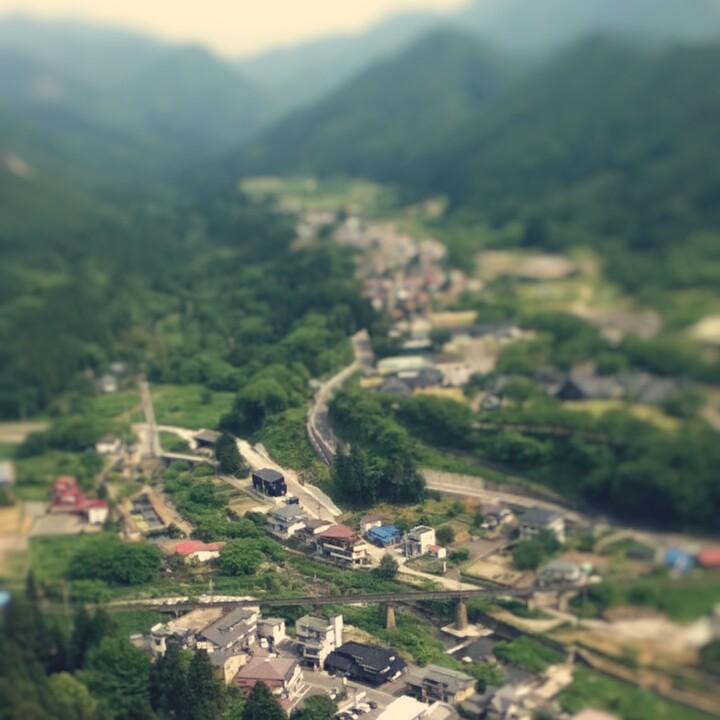 Fotor_147100043709211.jpg