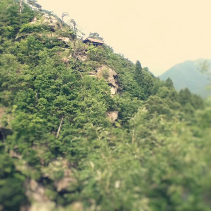 Fotor_147100047960969.jpg