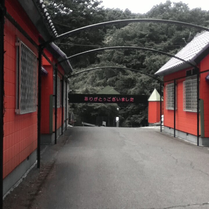 Fotor_147100069890228.jpg