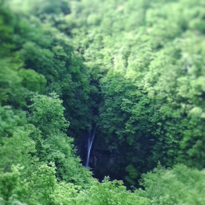 Fotor_147100086026543.jpg
