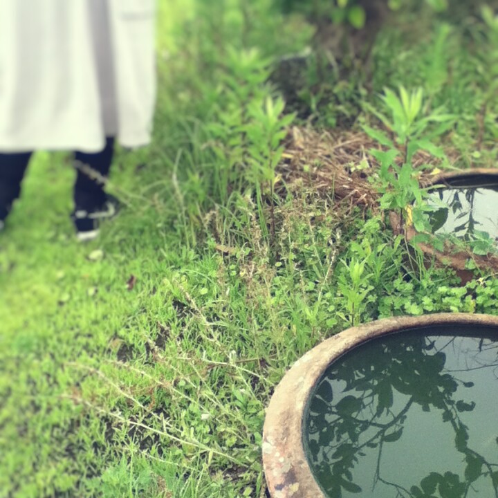 Fotor_14710526381053.jpg