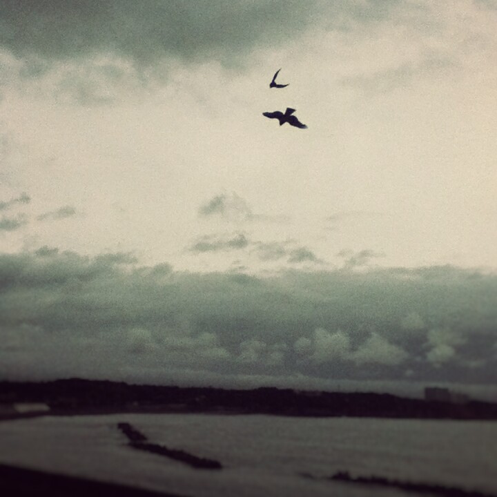 Fotor_147105254172120.jpg