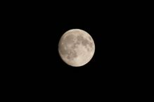 「天満月　写真」の画像検索結果