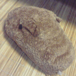カピバラさん