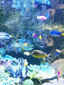 IMG_2012072332310.jpg