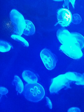 IMG_2012072352428.jpg