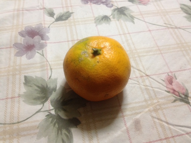 image.jpeg