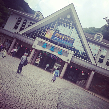 高尾山!