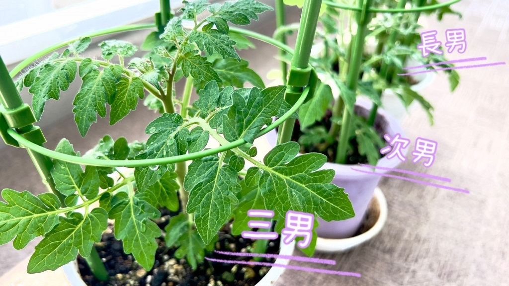 劇団あかぺら倶楽部《劇団員日記》