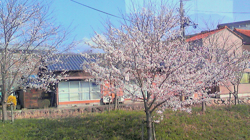 201104091521000.jpg
