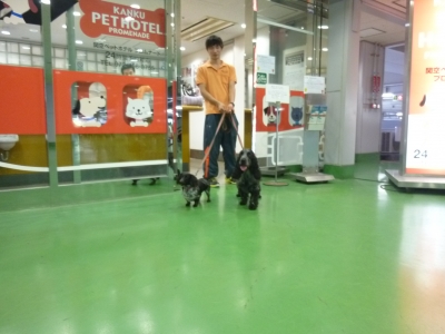 P1080382 - コピー.JPG