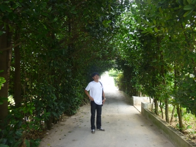 P1080433.JPG