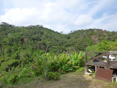 P1080446.JPG
