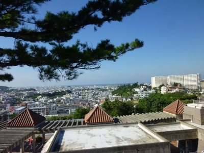 P1080482.JPG