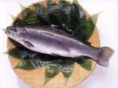 ギンヒカリ