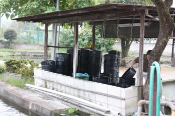 立て場