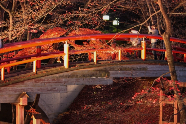 河鹿橋