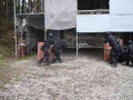 サバゲ インドア ウルバヌス
