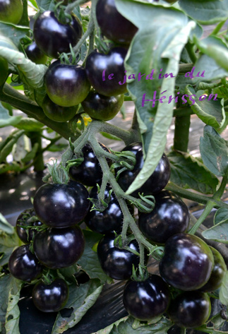 blog.2012.07.02.jpg