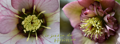 blog.2012.03.23.jpg