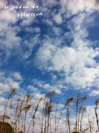 blog.2014.0106-3.jpg